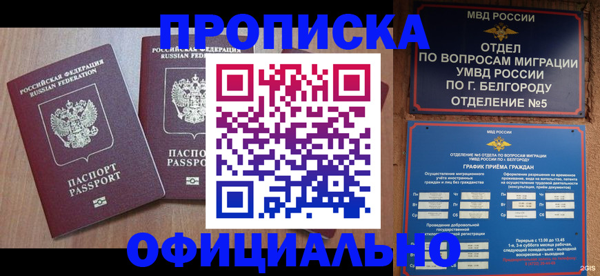 найти адрес прописки в Протвино